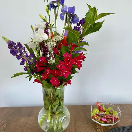 Anna Z Widokiem Na Morze Witomino Lejlighed