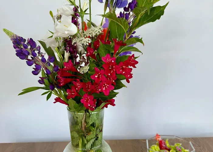 Anna Z Widokiem Na Morze Witomino Apartman